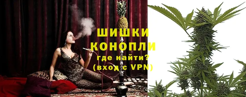 Конопля OG Kush  Бобров 